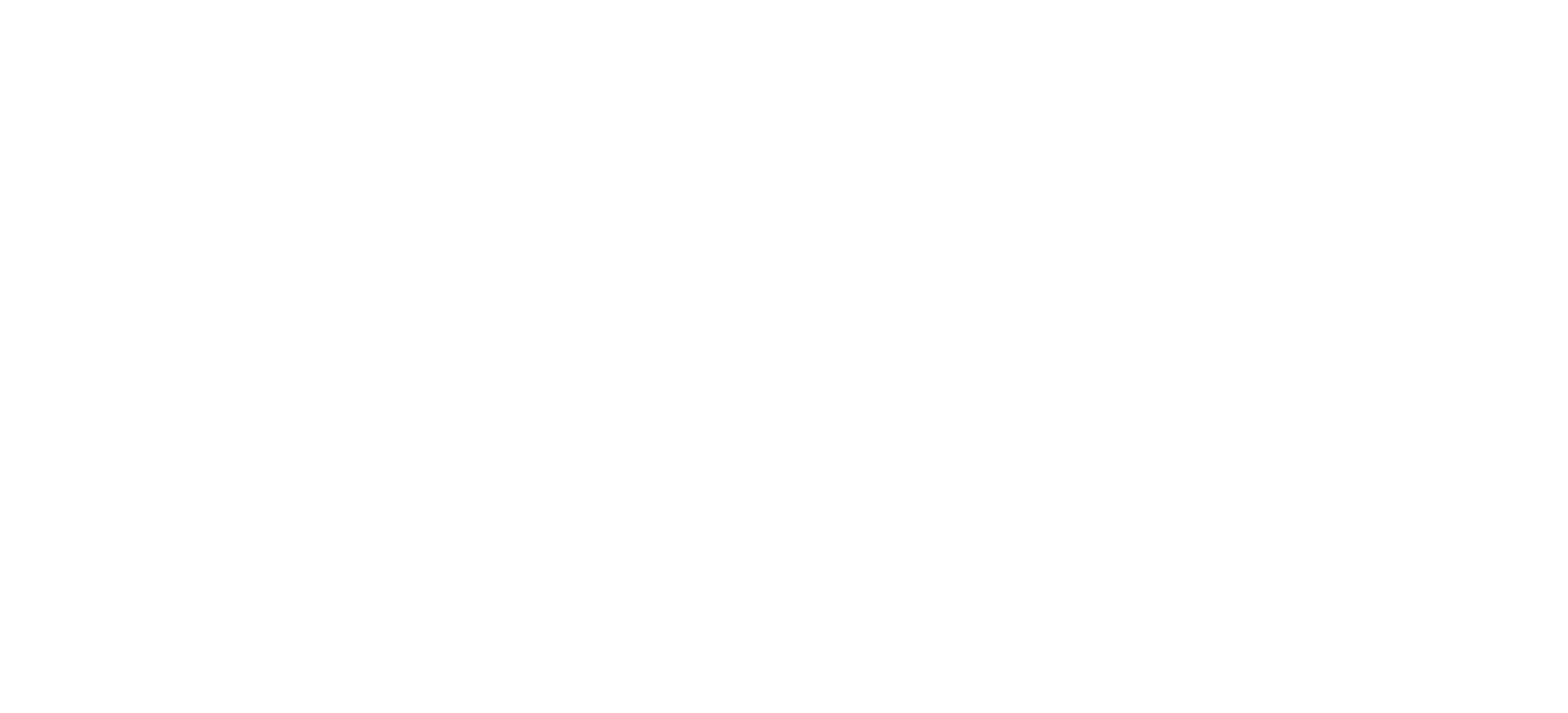 Misión